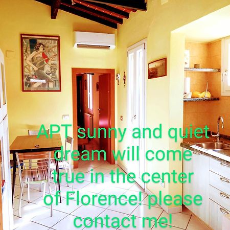 Apt Bright, Quiet! In The Center. Florenz Exterior foto
